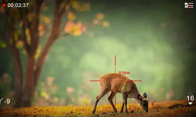 Comprendre la relation subtile entre les imageurs thermiques et les appareils de vision nocturne