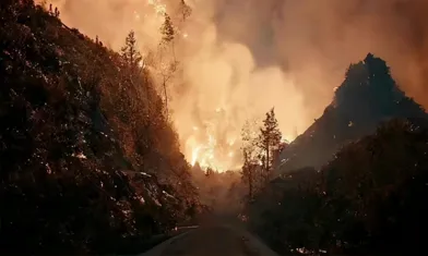 Le feu de forêt a été éteint. Quelles autres applications les caméras thermiques peuvent-elles avoir en plus du domaine de la sécurité?